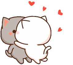 Daily Cute GIF - Members & Co - Damage Inc