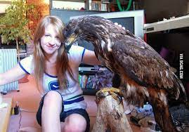 We did not find results for: The True Size Of A German Imperial Eagle Random Person For Size 9gag