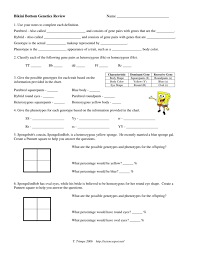 Punnett square worksheet 640 629 multiple alleles practice. Homozygous Gene Definition