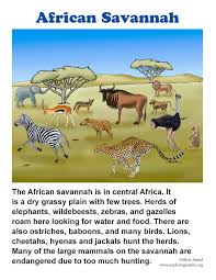 African Veldt And Savanna There are 1439 africa savannah art for sale on etsy, and they cost $30.15 on average. african veldt and savanna