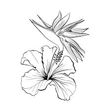 Black And White Bird Of Paradise Flower Tattoo Flower Tattoo In 2020 Bird Of Paradise Tattoo Arm Tattoos Forearm Flower Tattoo