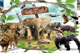 Check spelling or type a new query. Taman Hewan Perbaungan Www Daily Wife Com Jalan Jalan R Zoo Di Serdang Bedagai Sumut Babi Merupakan Hewan Ternak Yang Biasa Dikonsumsi Dagingnya Oleh Orang Eropa Dan Asia