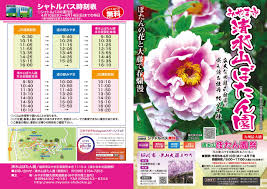 清水山 ぼたん 園