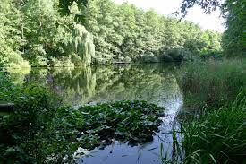 bad durkheim grethen schlangenweiher bad durkheim bad