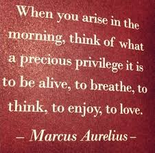 Marcus Aurelius Quotes When You Arise In The Morning Marcus Aurelius Quote