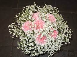 Handtied Bouquet Of Gypsophila With Pink Carnation Inserts Gypsophila Bouquet Pastel Wedding Flowers Wedding Flowers