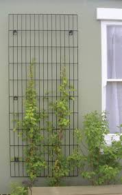 Ce treillis procure un excellent support pour plante grimpante. Treillis Metal Treillis Jardin Jardins Verticaux Amenagement Jardin