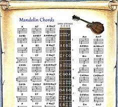 Amazon Com Mandolin Chords Poster Note Locator Chart