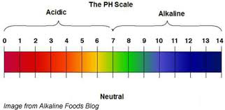 Ph Paper The Base Is Under A Salt