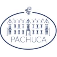 Download pachuca logo vector in svg format. Presidencia Municipal De Pachuca De Soto Linkedin