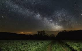 Freak of nature, they will wrap his body. The Two Headed Calf Flash Fiction Retreats