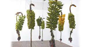 En 1996, el artista josé alejandro restrepo realizó una de las obras más potentes y conmovedoras del arte contemporáneo colombiano: Jose Alejandro Restrepo