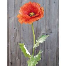 There are 58 suppliers who sells red color artificial poppy flowers on alibaba.com, mainly located in asia. Artificial Poppy Flower Esila Orange 80cm