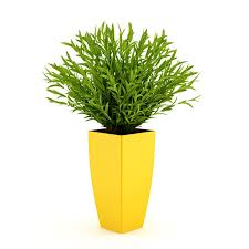 Decoration, set of 3 $ 14. Potted Plant Cgaxis 3d Models Store