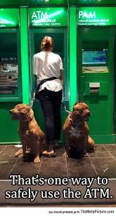 I Ll Just Keep My Distance Funny Animals Funny Pictures Funny Animal Pictures