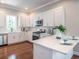 Image result for Glacier White 2017 Q1