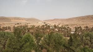 Taghit center, taghit, bechar, 08230, algeria. Taghit A Sahara Desert Oasis In Algeria Unusual Traveler