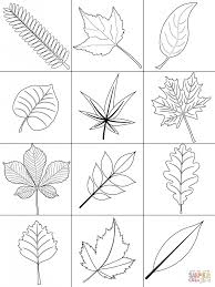 These leaf coloring pages print in black and white and ready for you to add color! Get This Leaf Coloring Pages Free To Print 75nv1