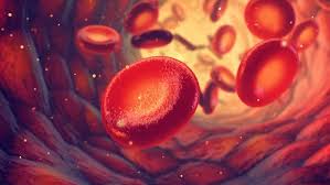 Image result for Blood Transfusion