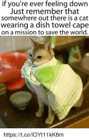 Sep 04, 2019 · one interesting change that has happened to dogs as a result of our domestication is how they respond to hand signals. Feeling Down Memes