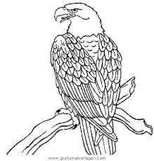 Verschiedene lesetexte zum thema tiere zum ausdrucken könnten als kopiervorlagen ebenfalls gratis heruntergeladen werden. Adler 00 Gratis Malvorlage In Adler Tiere Ausmalen