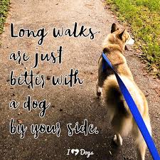 Long Walks Are Just Better With A Dog By Your Side Dog Walking Quotes Walking Quotes Dog Quotes