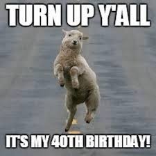 Happy 40th Funny 40th Birthday Meme For Her 101 Funny 40th Birthday Memes To Take The Dread Out Of Turning 40 40th Birthday Funny Birthday Meme 40th Birthday