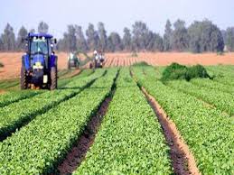 In perioada imediat urmatoarea se vor redeschide cateva din programele din vechea sesiune de programare. A Crescut Rata De Absorbtie A Fondurilor Europene Pentru Agricultura Si Dezvoltare Rurala