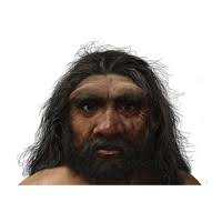 Древний человек из Харбина оказался денисовцем • Александр Марков • Новости  науки на «Элементах» • Антропология, Генетика