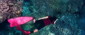 Snorkelen In Europa De Mooiste Snorkelplekken Backpack Explorer