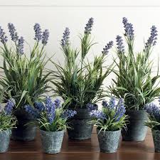 With an unrivaled passion for all things floral decoflora pride ourselves in offering one of the largest collections of stems of artificial flowers, silk flowers, artificial foliage, silk flower arrangements, silk wedding flowers, flower vases and accessories and diy christmas decorations in the whole of the uk. Faux Lavender In Pot Oka