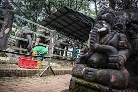 Видео taman buaya канала abdul asidik. Kebun Binatang Ragunan Buka Jumat Besok Hanya Untuk Pengunjung Ber Ktp Jakarta Halaman All Kompas Com