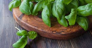 Epingle Sur Basilic