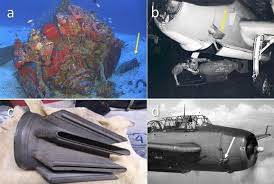 Image result for Natural Yellow 2000 Fleet