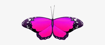 Download in under 30 seconds. Purple Butterfly Clip Art 1308432 Pink Butterfly Clipart Free Transparent Png 500x294 Free Download On Nicepng