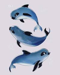 N/a with 7 ratings and reviews. Vaquitas Dolphin Porpoise Vaquita Characterdesign Sea Creatures Art Dolphin Art Cute Animal Drawings