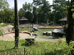 Hutan bandar ialah hutan atau sekumpulan pokok yang tumbuh di bandar, pekan atau subbandar. Facebook
