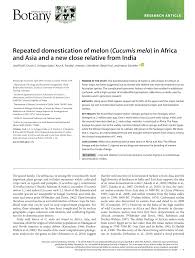 Image result for Cucumis aetheocarpus