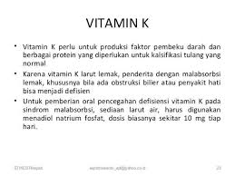 Vitamin K Lemak Vitamin Penyakit