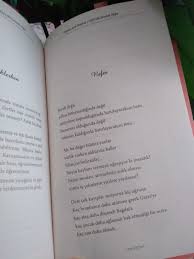 ismail adli kullanicinin gercekler panosundaki pin gercekler simsek