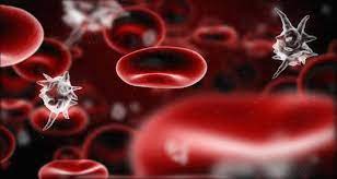 Almeno fino al prossimo emocromo #piastrinopenia #autoimmune #milza #piastrinopenia immune: Piastrine Basse Piastrinopenia O Trombocitopenia O Ipopiastrinemia Segreti Per Starbene