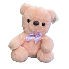 Oso de Peluche Rosado de 24 cm Suave y Adorable