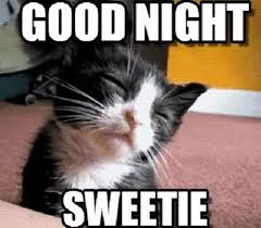 Cute Good Night Meme Funny Goodnight Memes