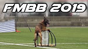 Championnat de france de mondioring, et grand prix de france 2016. Fmbb Mondioring World Championship 2019 N Khaleesi De Sol Casa Sotiris Kountouras Youtube