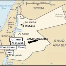 Image result for Najas horrida