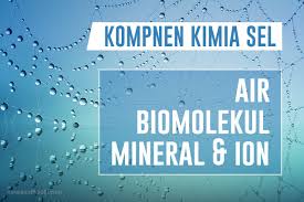 Maybe you would like to learn more about one of these? Perbedaan Sel Hewan Dan Sel Tumbuhan Juga Persamaannya