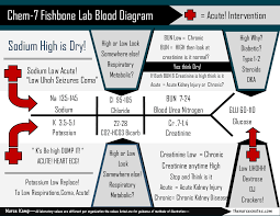 New Design Of The Bmp Chem7 Fishbone Diagram Explaining Labs