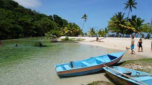 See more of samaná dominican republic on facebook. Playas De Samana Republica Dominicana Opciones Y Recorridos Godominicanrepublic Com