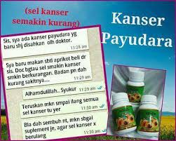 Kanser payudara adalah biasa pada wanita dan kimoterapi bertindak sebagai ubat pembunuh sel kanser yang diberi melalui salur darah atau secara. Testimoni Kanser Payudara Aprikot Ajaib Penawar Kanser Facebook
