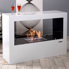 Ethanol kamine elektrokamine kamin fachmann versandkostenfrei ab 50€ +49 6672 66 79 69 081. Bodenkamin Ferrara Bio Ethanol Kamin Freistehender Kaminofen Stahlkorpus Weiss Bodenkamine Kaminofen Lilimo Shop